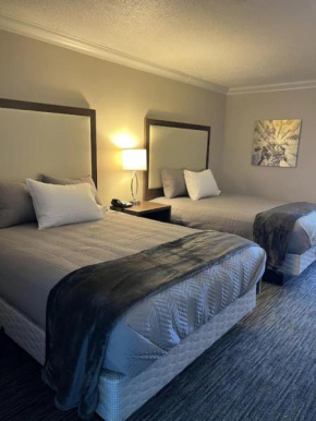 Coral Beach 510